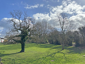 Photo 7- click for photo gallery